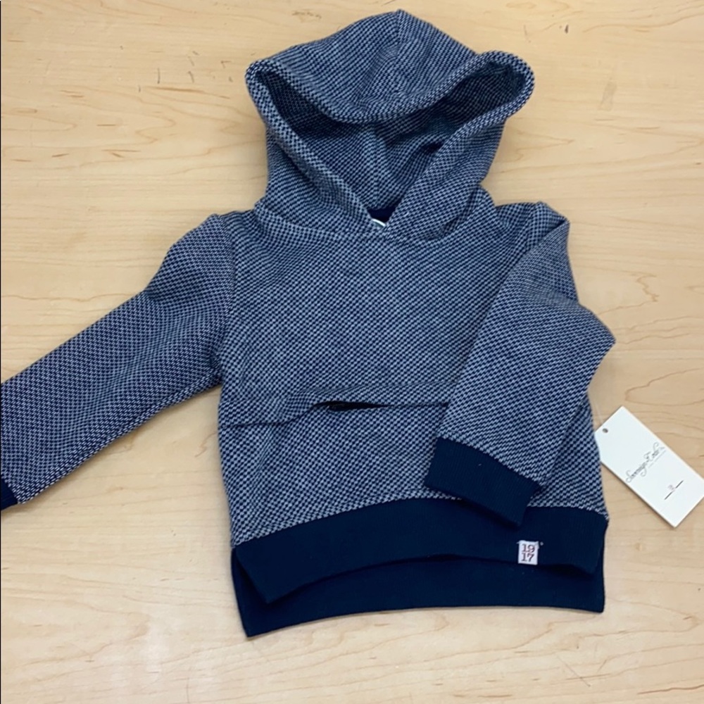 Hooded Sweater with zip pocket. (Blue)